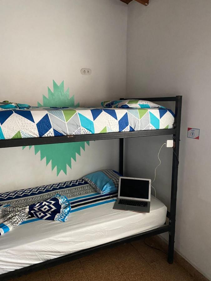 Bunk Bed in Mixed Dormitory Room,1268249812:JPEG