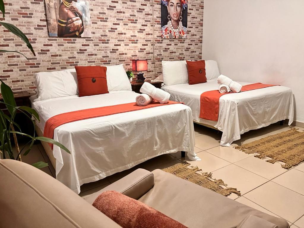 Family Double Room,1549880419:JPEG