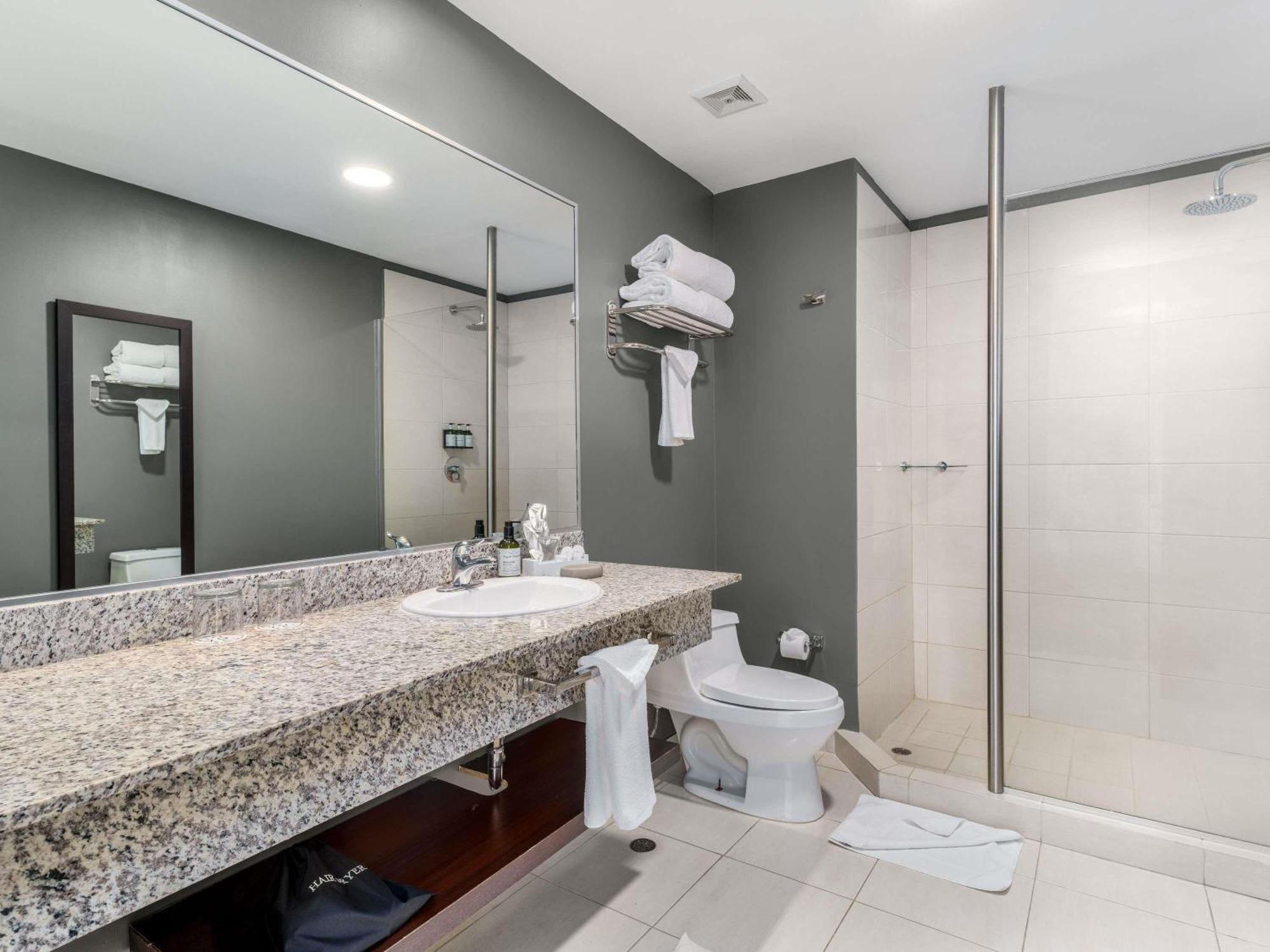 Superior Suite with One King Bed,1722957868:JPEG