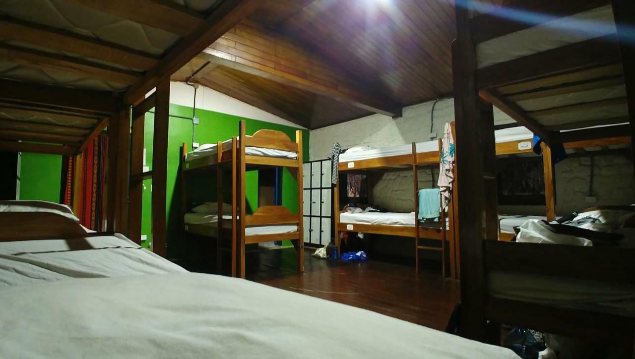 Bunk Bed in Mixed Dormitory Room,815785307:JPEG