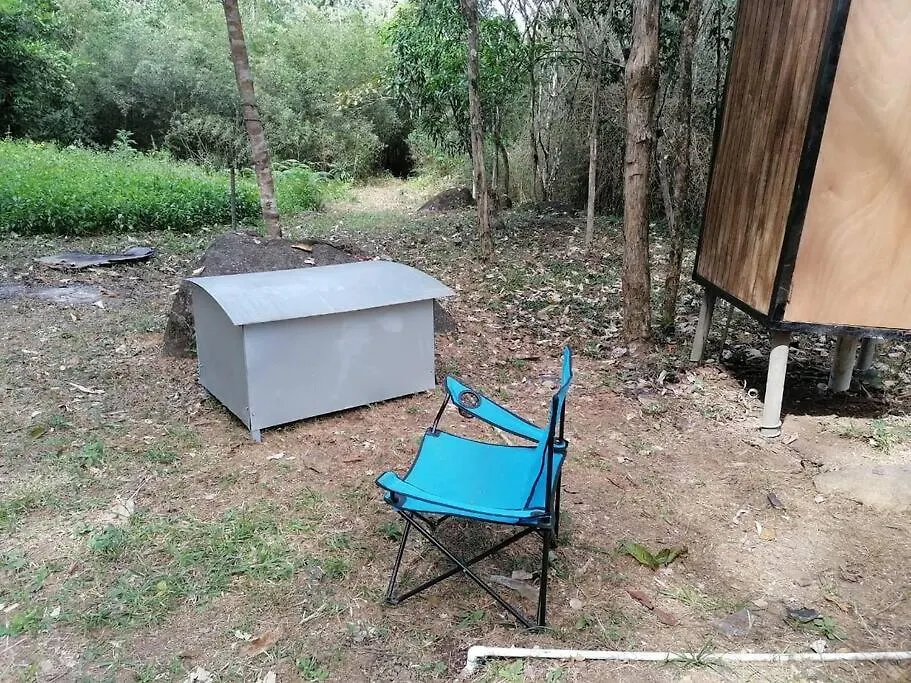 Tiny Cabin Lost In The Jungle-1