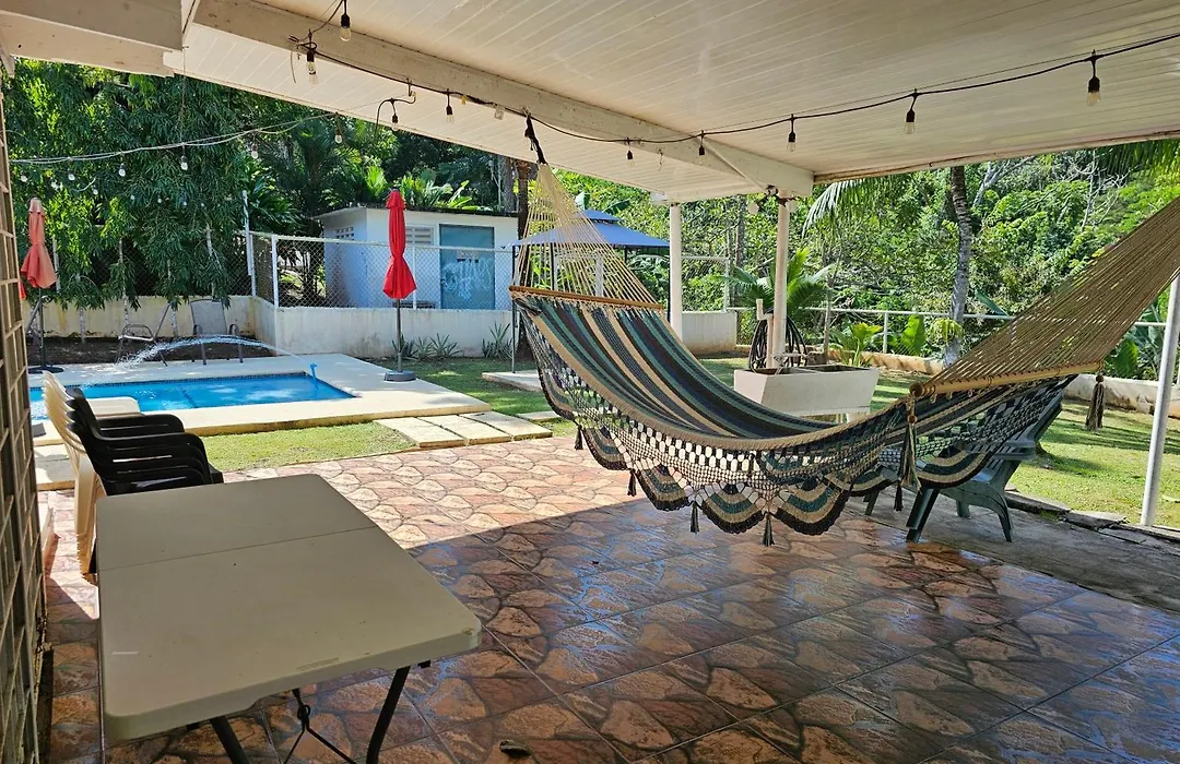 Oasis With Pool Near Panama Canal-1