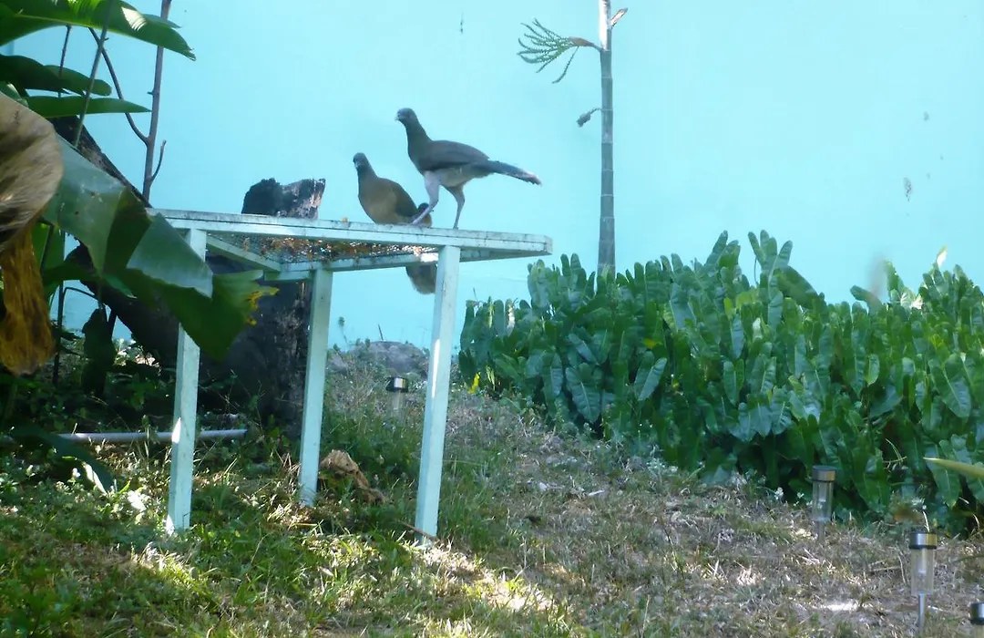 Dos Palmitos Bed And Breakfast-1