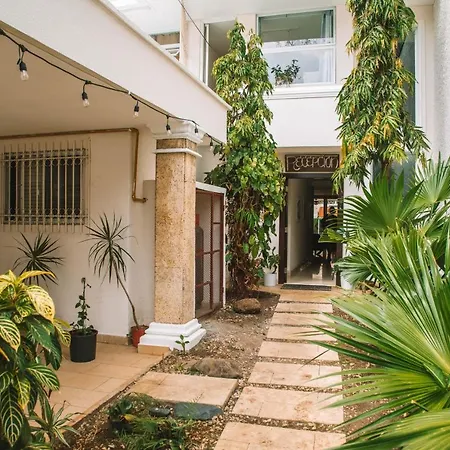 Bodhi Panama City-3