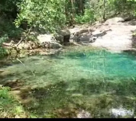 Finca Don Jorge-3