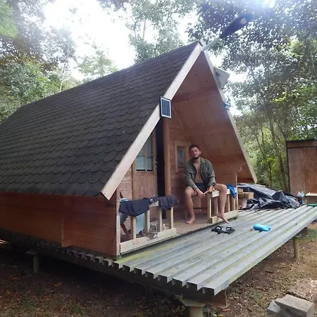 Tiny Cabin Lost In The Jungle-2