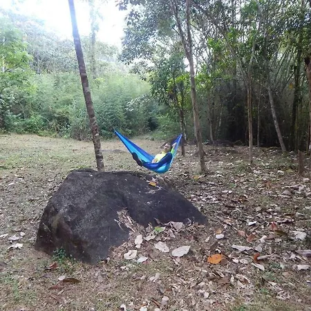 Tiny Cabin Lost In The Jungle-3