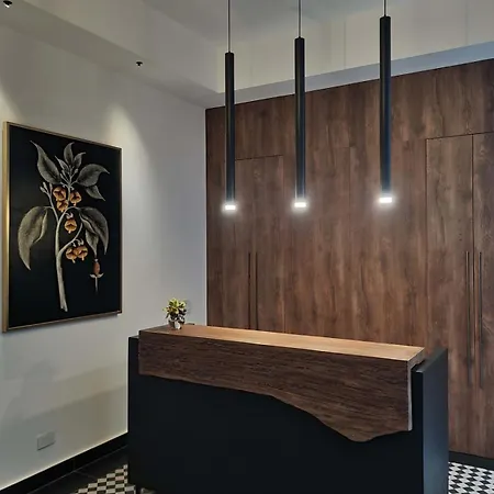 Stunning 1BR in Casco Viejo-2