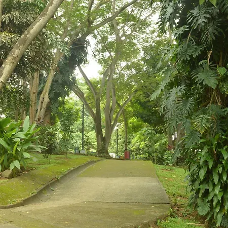 Totumas Lodge-3