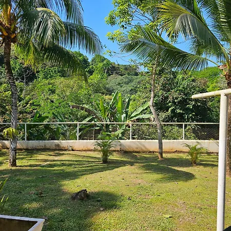 Oasis With Pool Near Panama Canal-3
