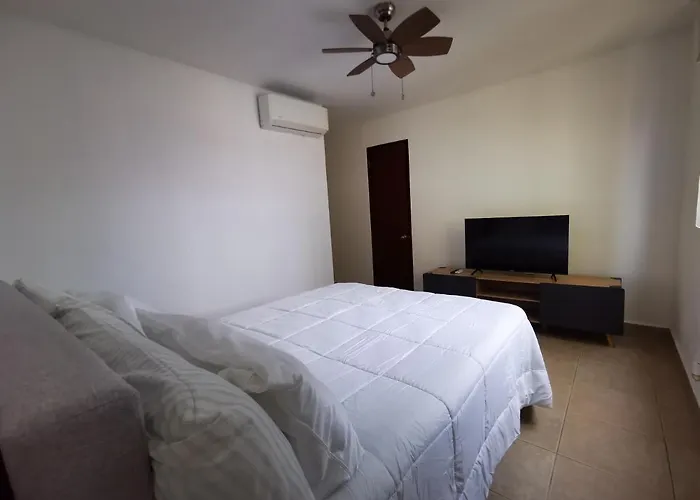Pet friendly Apartment In The City Panama City