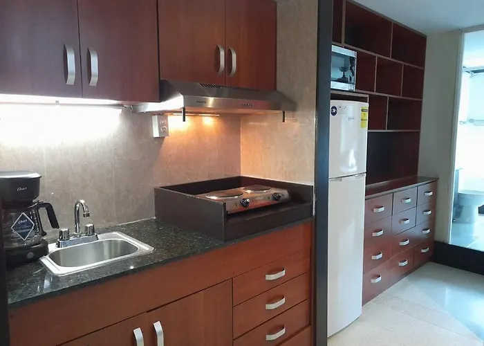 R.1110 Hermoso estudio ejecutivo, área turística. Cidade do Panamá que aceita animais de estimação