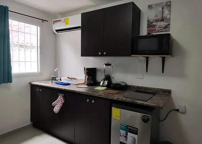 Apartamentito Tipo Estudio Amueblado Tranquilo Y Acogedor Cocina Y Bano Privado Independiente En Chanis Cerca De Costa Del Este