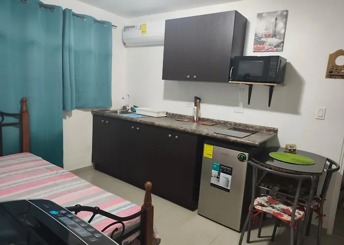 Apartamentito Tipo Estudio Amueblado Tranquilo Y Acogedor Cocina Y Bano Privado Independiente En Chanis Cerca De Costa Del Este