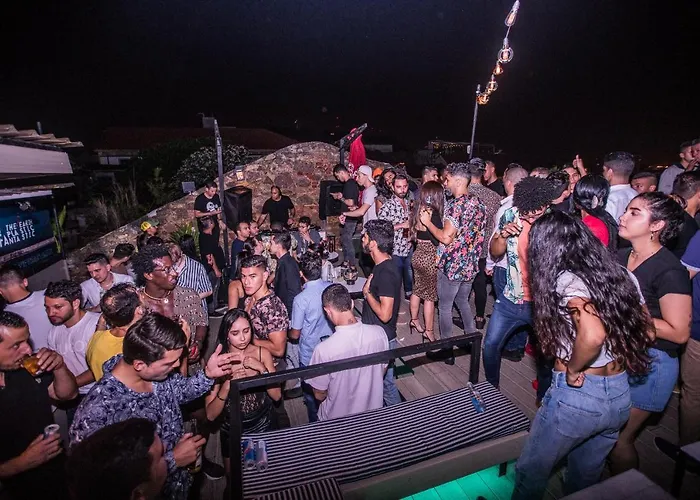 Gatto Blanco Party Hotel